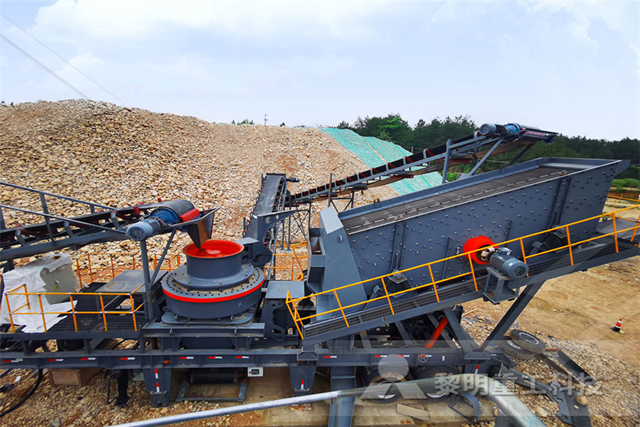 النسور تغذية صخرة مصنع بي تي واي المحدودة  